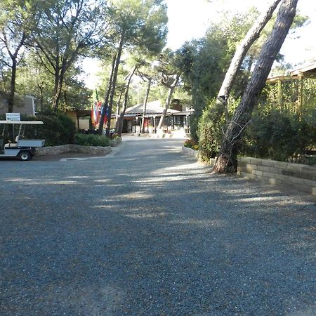 Camping Casa Di Caccia Marina Di Bibbona Exteriör bild