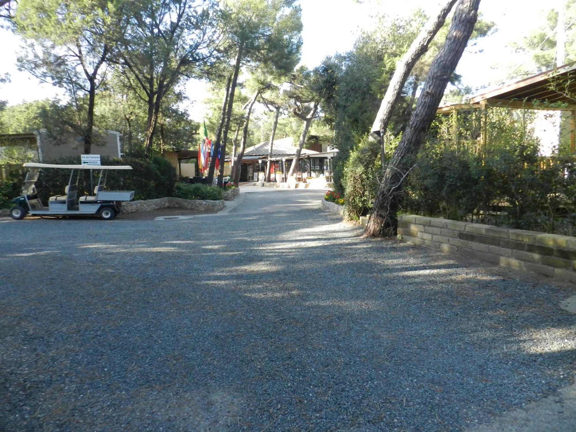 Camping Casa Di Caccia Marina Di Bibbona Exteriör bild