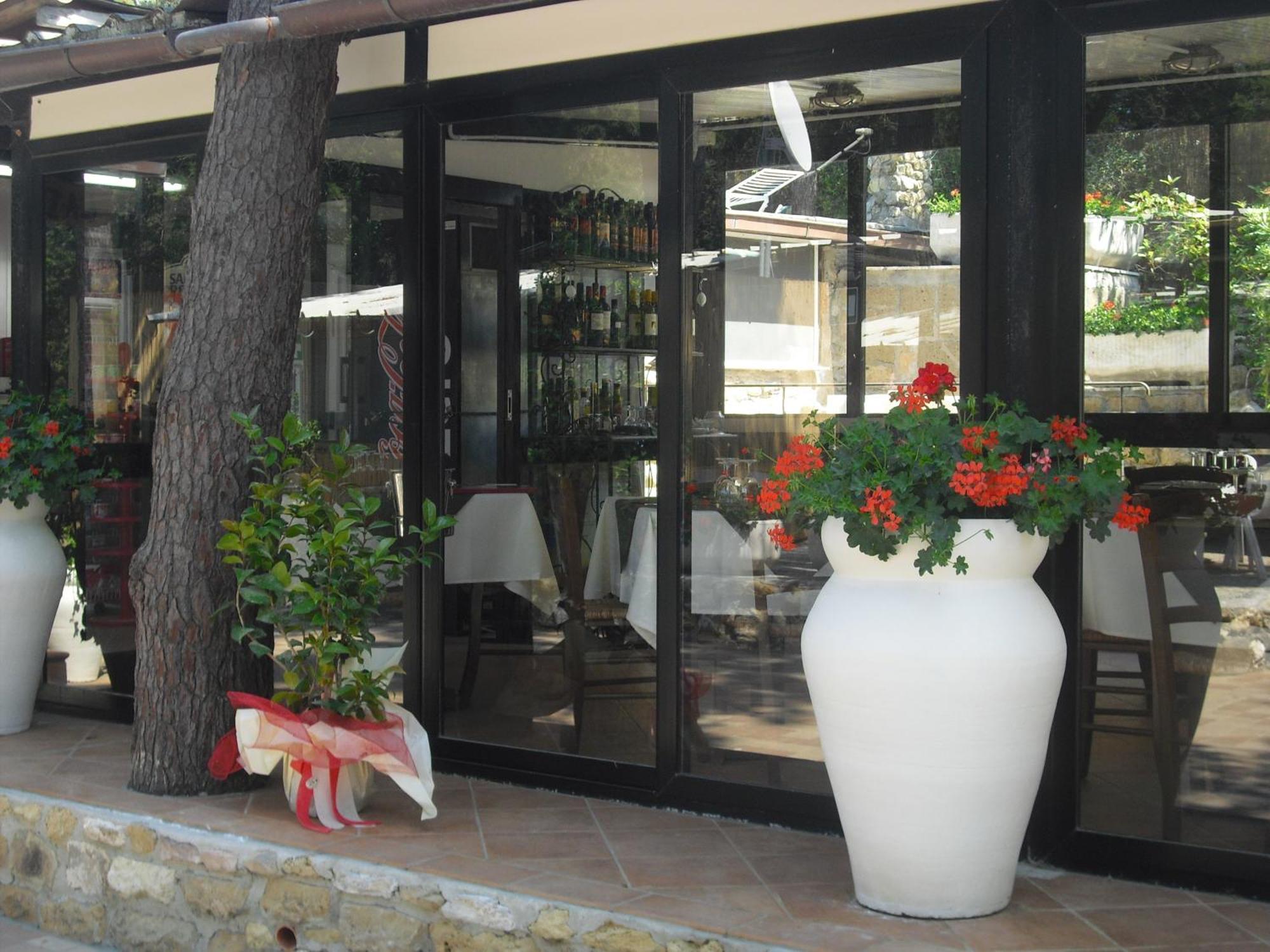 Camping Casa Di Caccia Marina Di Bibbona Exteriör bild