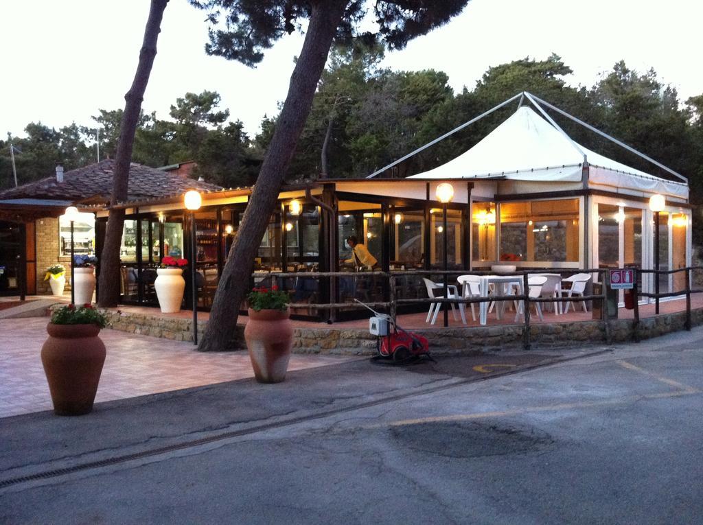 Camping Casa Di Caccia Marina Di Bibbona Exteriör bild