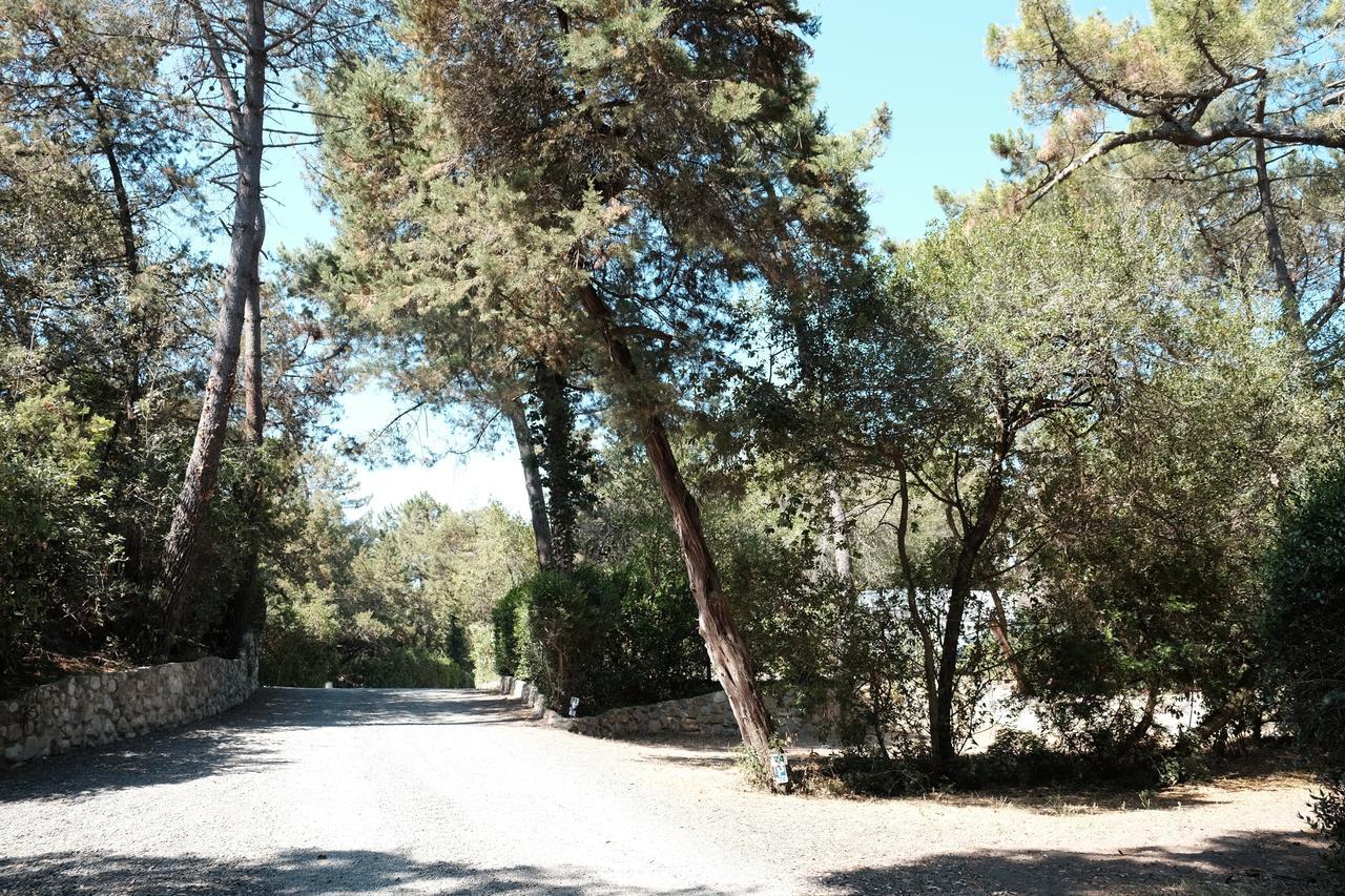 Camping Casa Di Caccia Marina Di Bibbona Exteriör bild