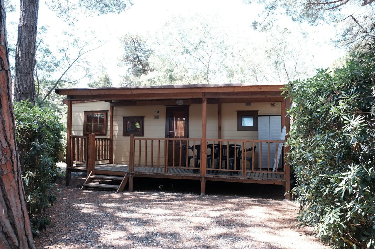 Camping Casa Di Caccia Marina Di Bibbona Exteriör bild