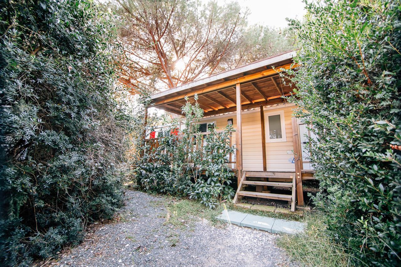 Camping Casa Di Caccia Marina Di Bibbona Exteriör bild