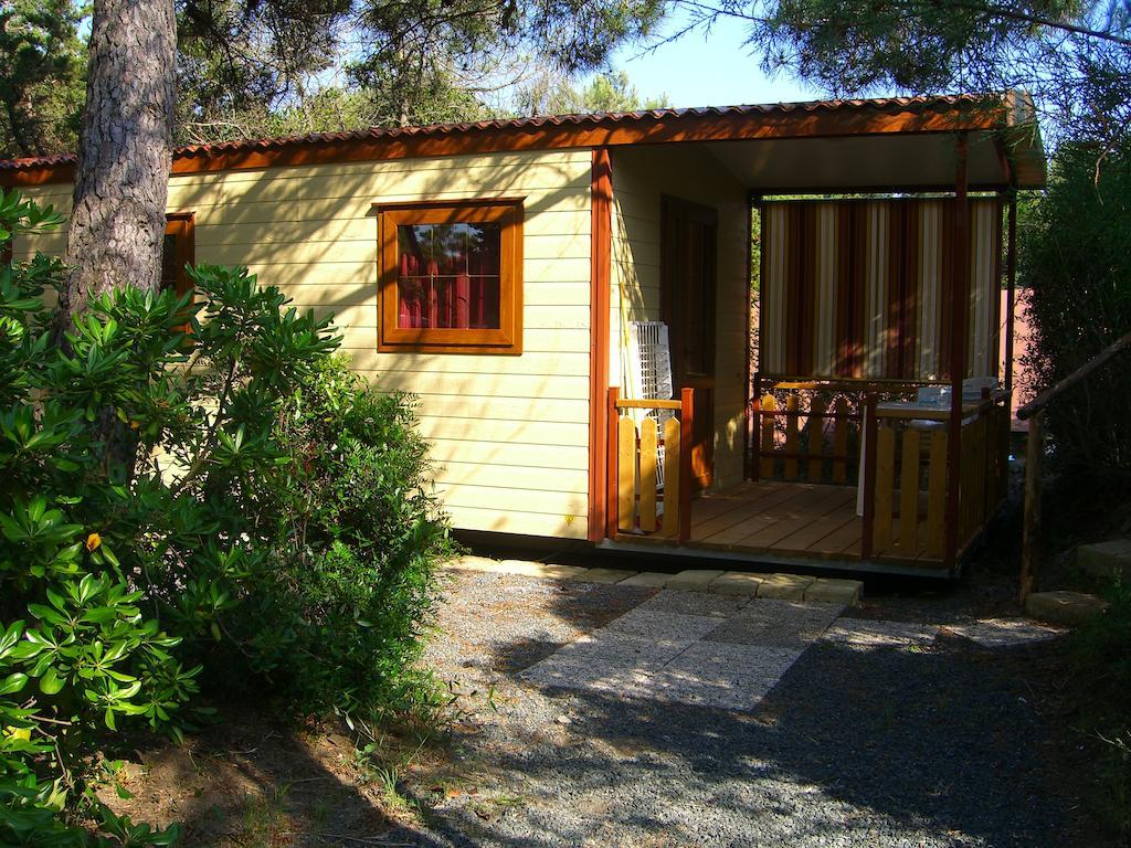 Camping Casa Di Caccia Marina Di Bibbona Rum bild